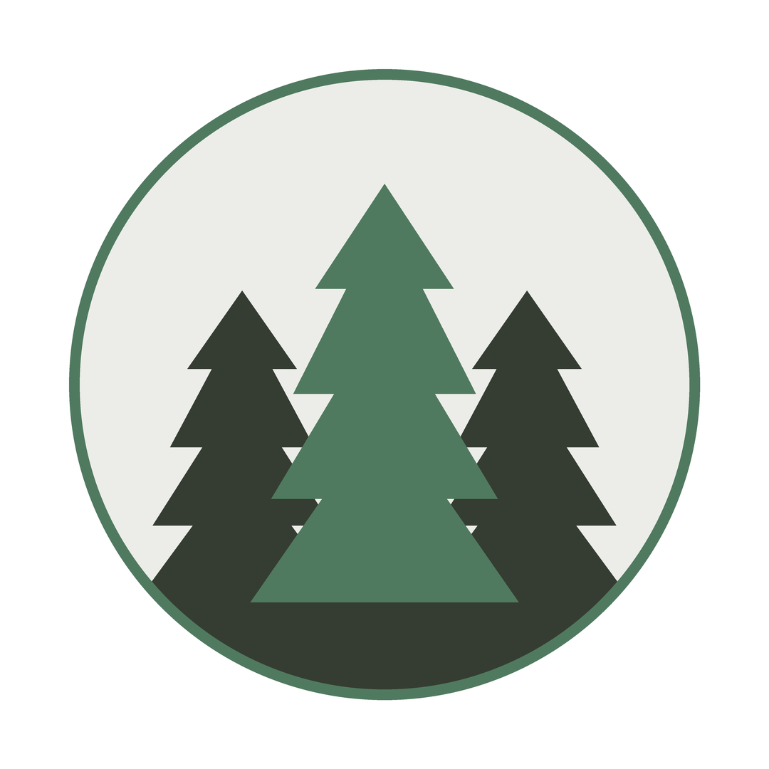 Evergreen pine trees